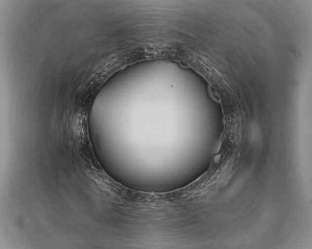 X0000112470770200908241232