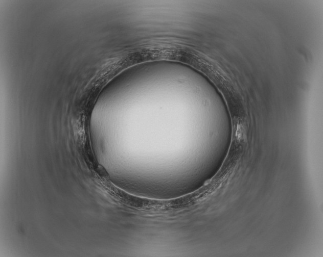 X0000112470771200908241232