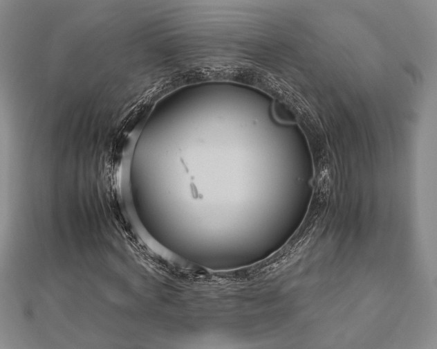 X0000112470772200908241232