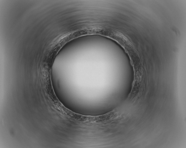 X0000112470773200908241232