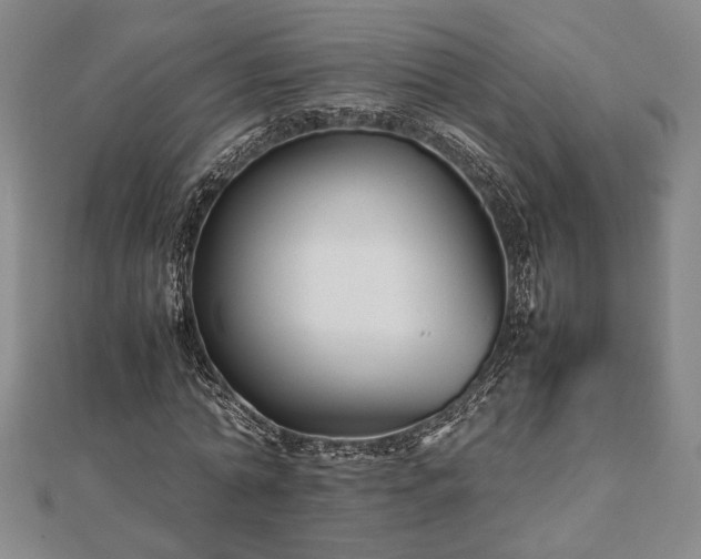 X0000112470774200908241232