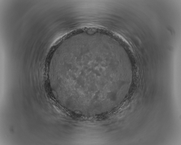 X0000112470775200908241232