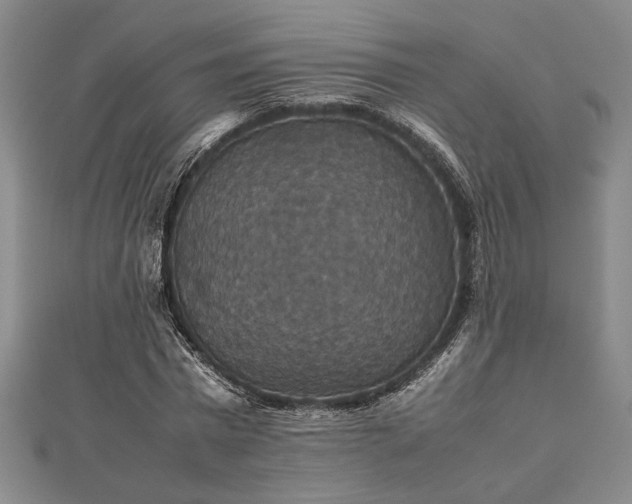 X0000112470777200908241232