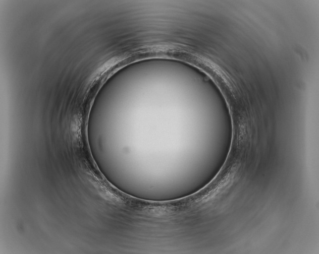 X0000112470778200908241232