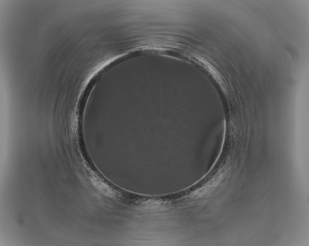 X0000112470779200908241232