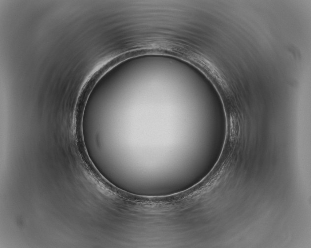 X0000112470780200908241232