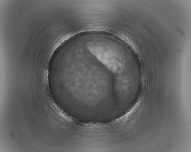 X0000112470781200908241232