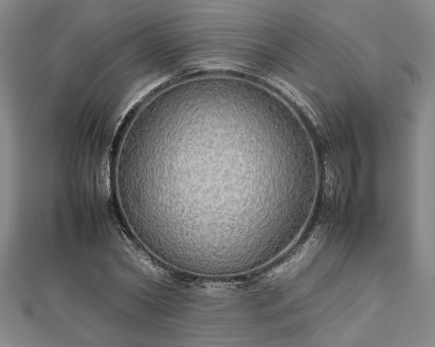 X0000112470782200908241232