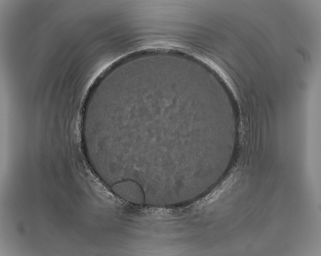 X0000112470783200908241232