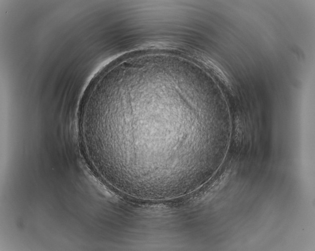 X0000112470784200908241232