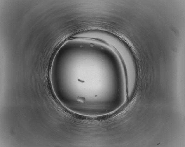 X0000112470785200908241232