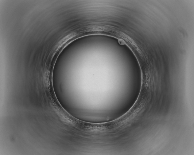 X0000112470786200908241232