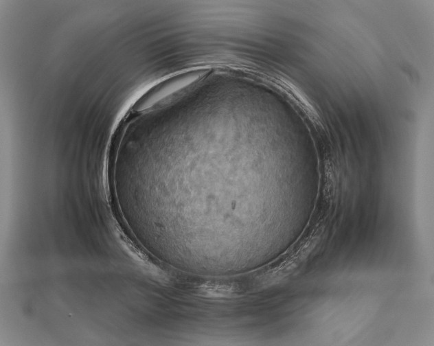 X0000112470788200908241232