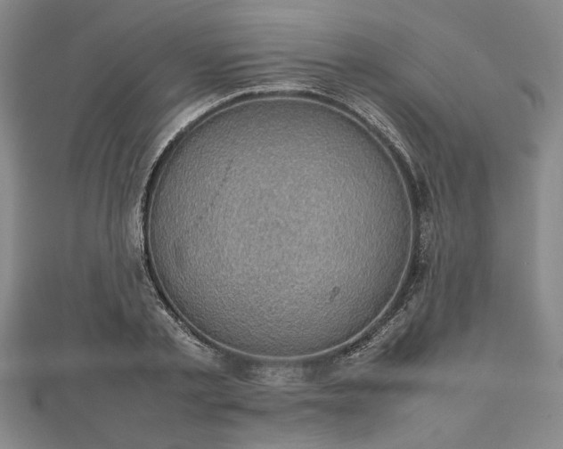 X0000112470789200908241232