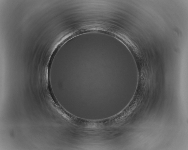 X0000112470790200908241232