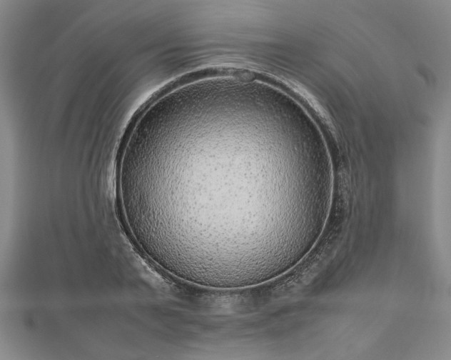 X0000112470791200908241232