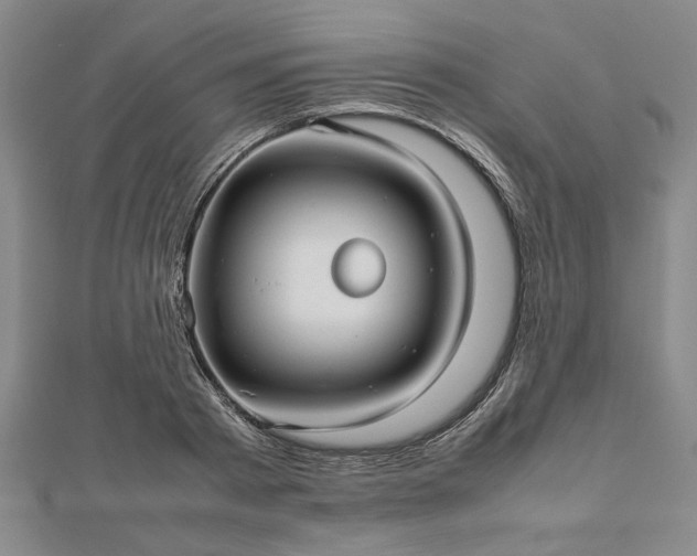 X0000112470793200908241232