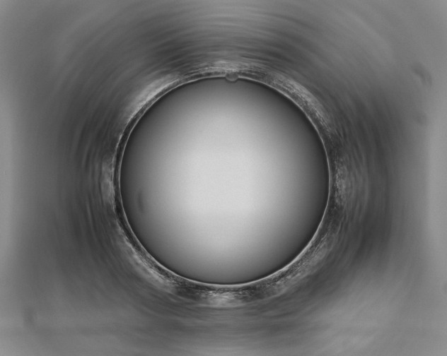 X0000112470794200908241232