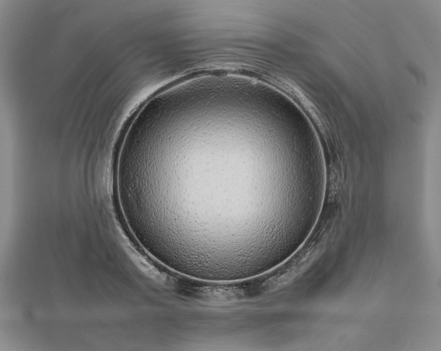 X0000112470795200908241232