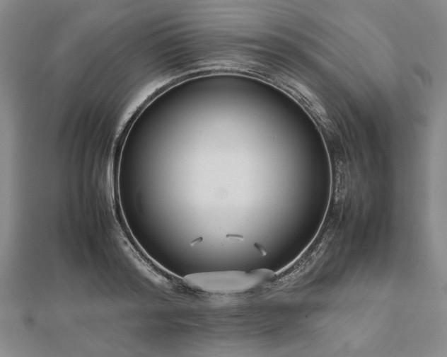 X0000112470796200908241232