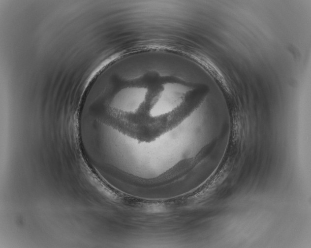 X0000112470798200908241232