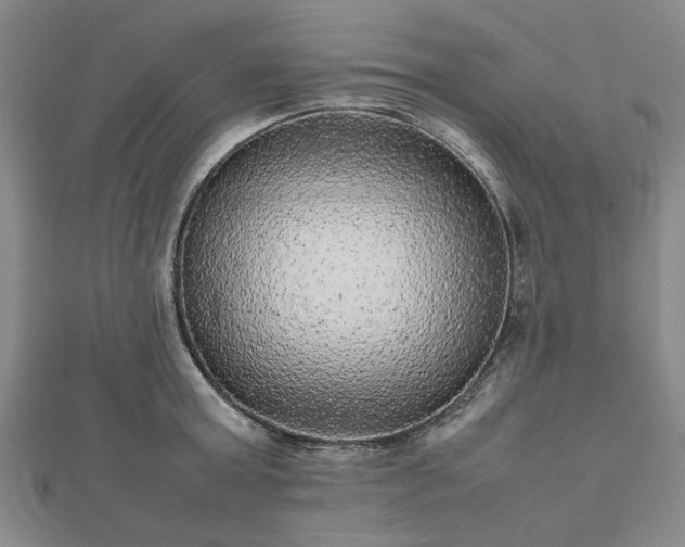 X0000112470803200908241232