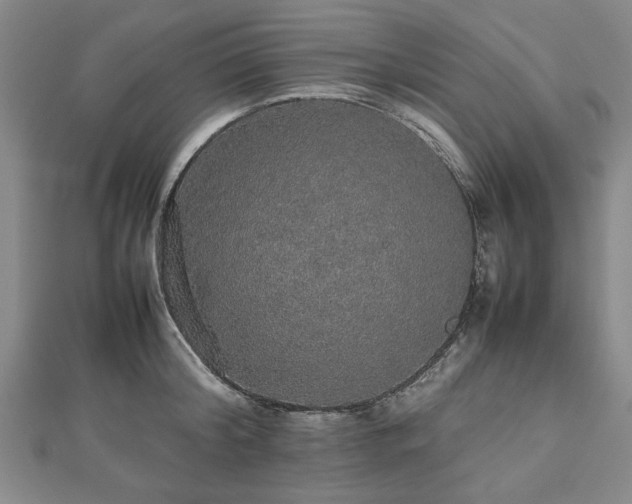 X0000112470804200908241232