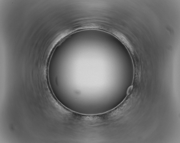 X0000112470805200908241232