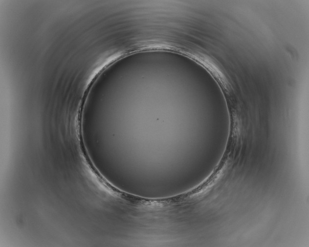 X0000112470806200908241232