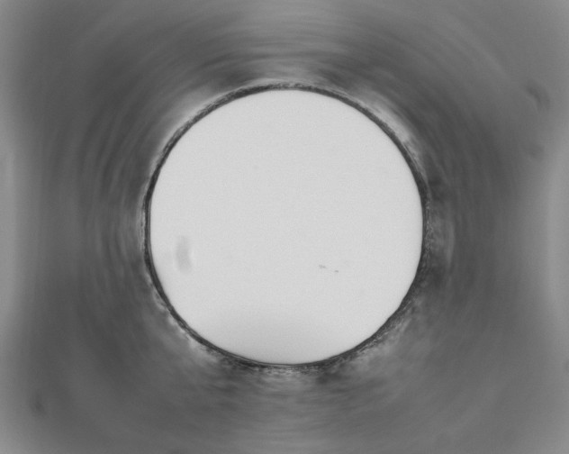 X0000112470807200908241232