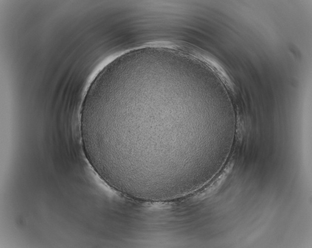 X0000112470808200908241232