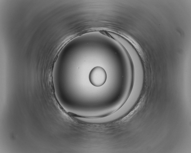 X0000112470809200908241232