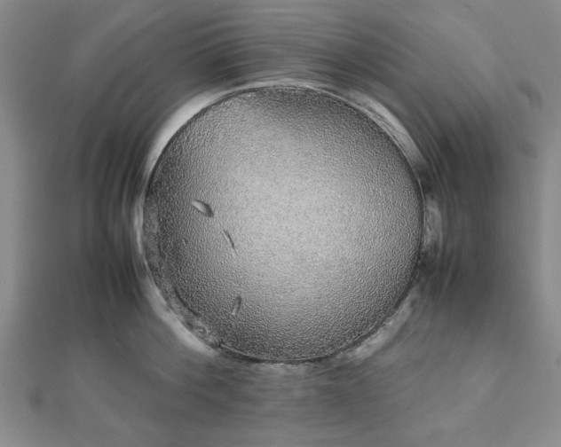 X0000112470812200908241232