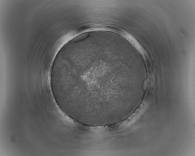 X0000112470813200908241232