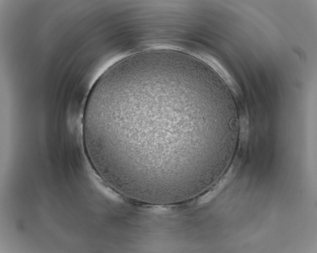 X0000112470814200908241232