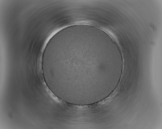 X0000112470816200908241231