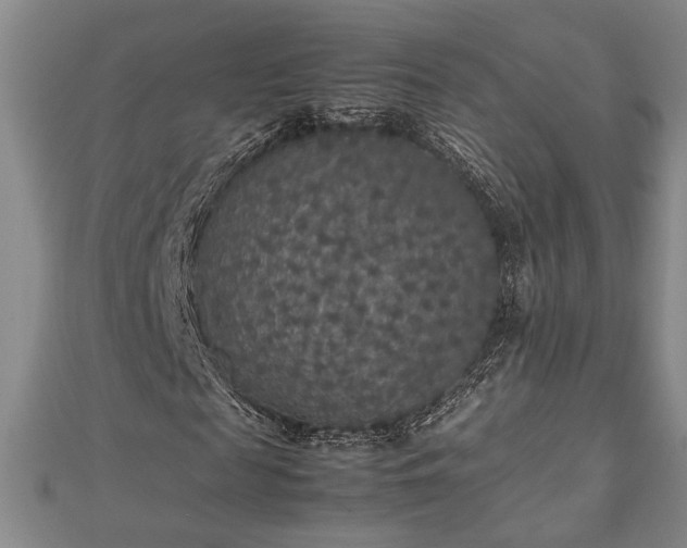 X0000112470817200908241231