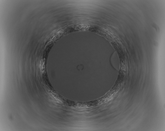 X0000112470818200908241231