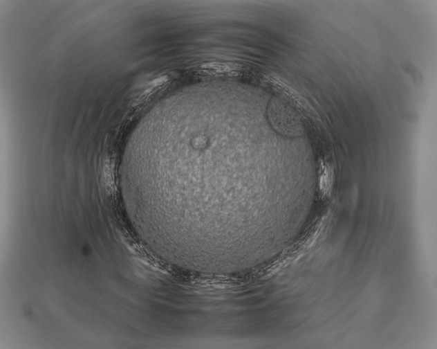 X0000112470819200908241231