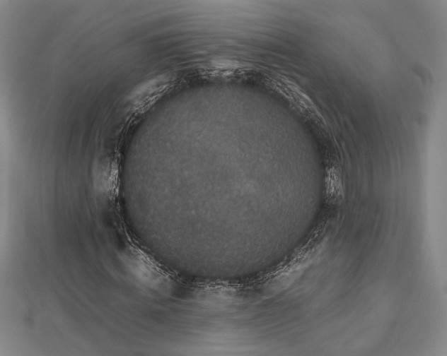 X0000112470820200908241231