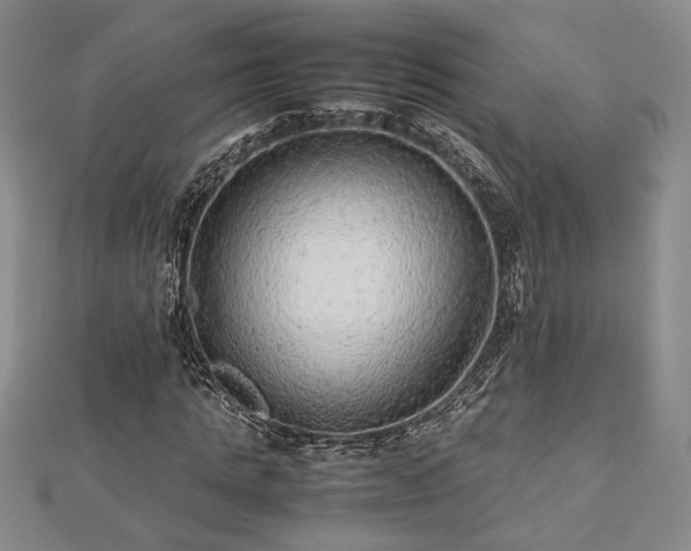 X0000112470821200908241231