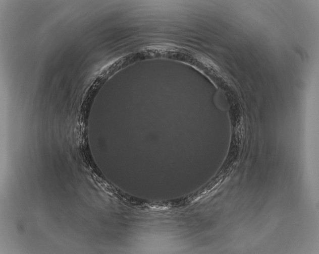 X0000112470822200908241231