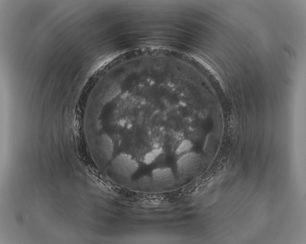 X0000112470823200908241231