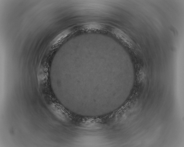 X0000112470824200908241231