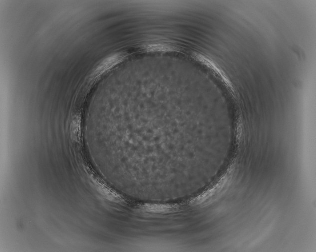 X0000112470825200908241231