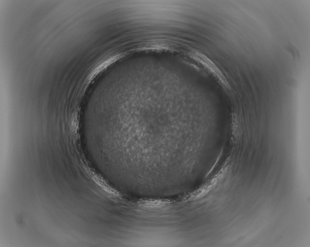 X0000112470826200908241231