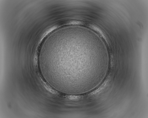 X0000112470827200908241231