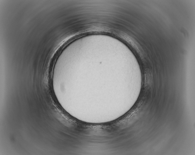 X0000112470828200908241231