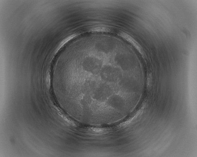 X0000112470829200908241231