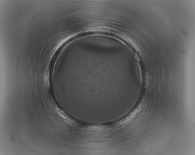 X0000112470830200908241231